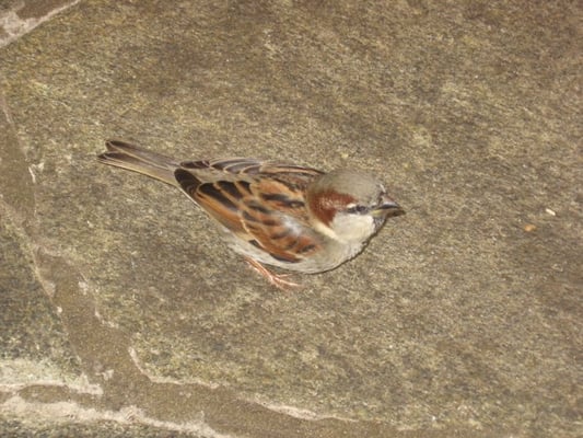 5031 Hana Hwy by null