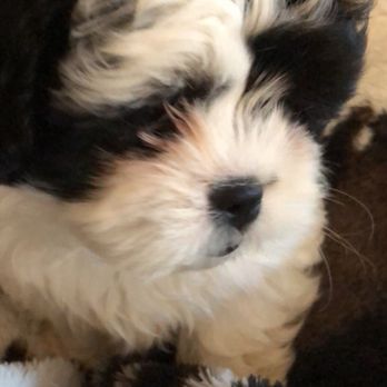 The Pet Warehouse - Pet Stores Near Me - Jacksonville, North Carolina