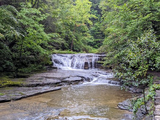 Robert H. Treman State Park by null
