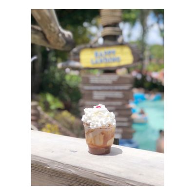 Disney's Typhoon Lagoon Water Park by null
