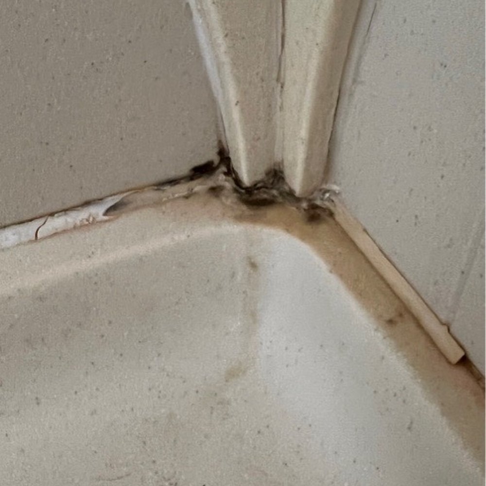 Shower mold in corner. Shower mold in corner.