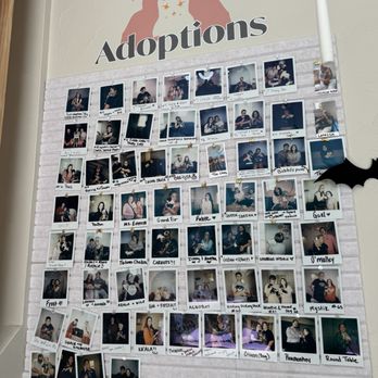 The Purrfect Bean - Adoption wall - Themed Cafes Near Me - Richmond, Virginia The Purrfect Bean - Adoption wall - Themed Cafes Near Me - Richmond, Virginia