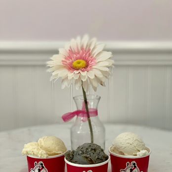 Sugar Mama Desserts - (L to R): Durian, Black Sesame Brittle, and Fresh Lychee | $4 per scoop - Ice Cream & Frozen Yogurt Near Me - Milpitas, California Sugar Mama Desserts - (L to R): Durian, Black Sesame Brittle, and Fresh Lychee | $4 per scoop - Ice Cream & Frozen Yogurt Near Me - Milpitas, California