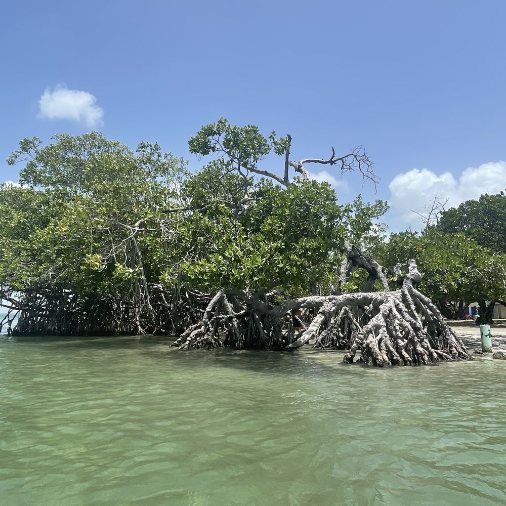 Polita's Beach - Beaches Near Me - Playa de Salinas, Puerto Rico