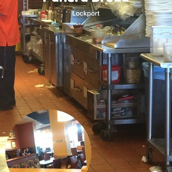 Panera Bread - Not busy at all but the prep area is straight up NASTY - Sandwiches Near Me - Lockport, New York