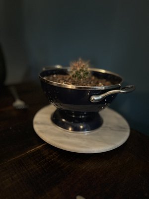 Salt of the Earth Bistro-Lake Placid, NY by null