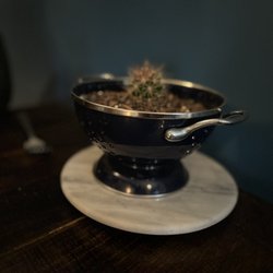 Salt of the Earth Bistro - Cactus plant on table