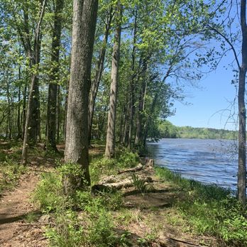 City Lake Park - Trail, water - Parks Near Me - Albemarle, North Carolina
