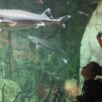 Downtown Aquarium - Museums Near Me - Denver, Colorado