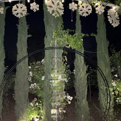 Don Fernando's Vineyards & Nursery