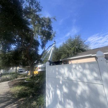 Rojas Vc Services - Tree Services Near Me Rojas Vc Services - Tree Services Near Me