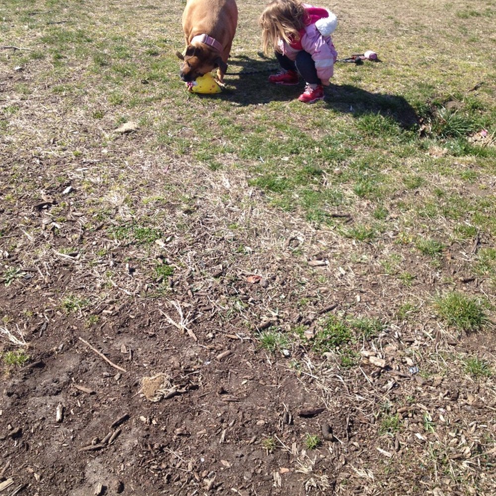 Landing Lights Park - Dog Parks Near Me - Queens, New York Landing Lights Park - Dog Parks Near Me - Queens, New York