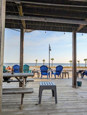 Shaggy's Biloxi Beach by null