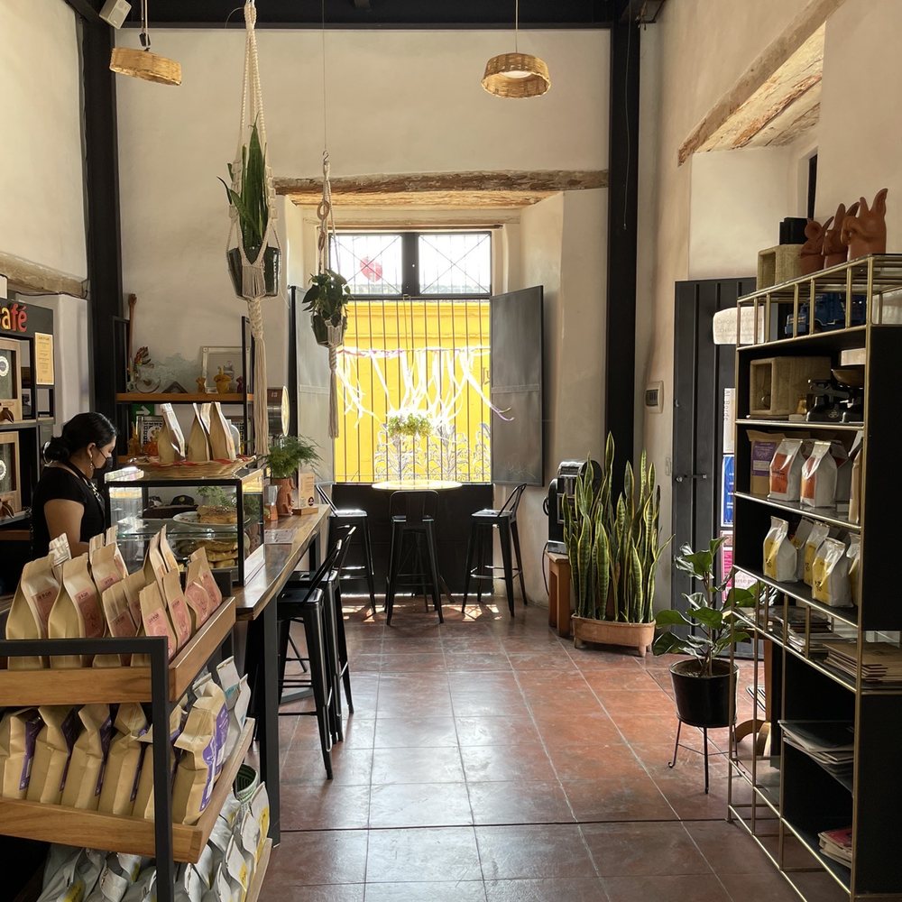 Café Café - Beautiful stop. Lots of natural light and breeze. - Coffee & Tea Near Me - Oaxaca, OAX