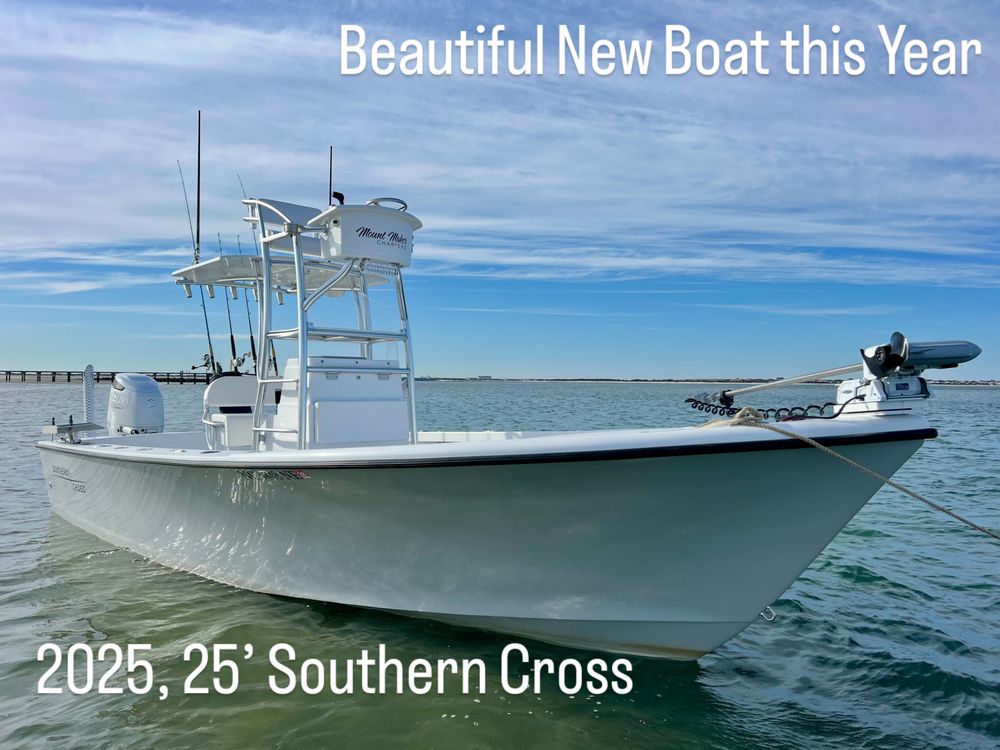 Shackeford Banks Eco Tours