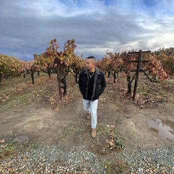 Stonum Vineyards and Winery - Wineries Near Me - Lodi, California Stonum Vineyards and Winery - Wineries Near Me - Lodi, California