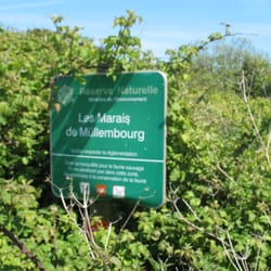 Chaussée Jacobsen via les marais de Müllenbourg - Repère 06: N'entrez pas dans le marais Müllenbourg, passez sur la gauche de la Pancarte.