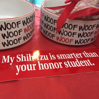 Island Paws - My shihtzu Mocha Coconut is smarter than your honor student :-)! - Pet Stores Near Me - Sanibel, Florida