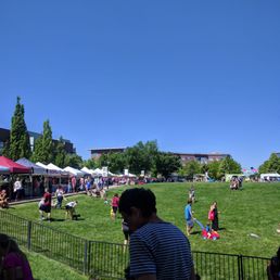 people sitting on the grass people sitting on the grass