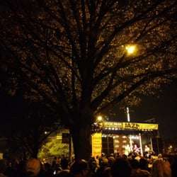 Hyde Park Jazz Festival - Evening at the Hyde Park Jazz Fest