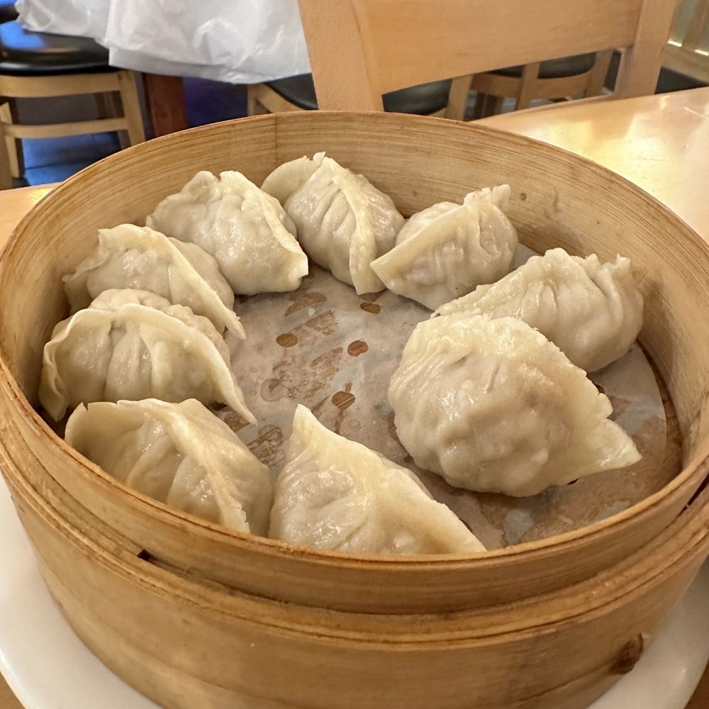 Steam Cafe - Pork dumplings - Chinese Near Me - Carrollton, Texas Steam Cafe - Pork dumplings - Chinese Near Me - Carrollton, Texas