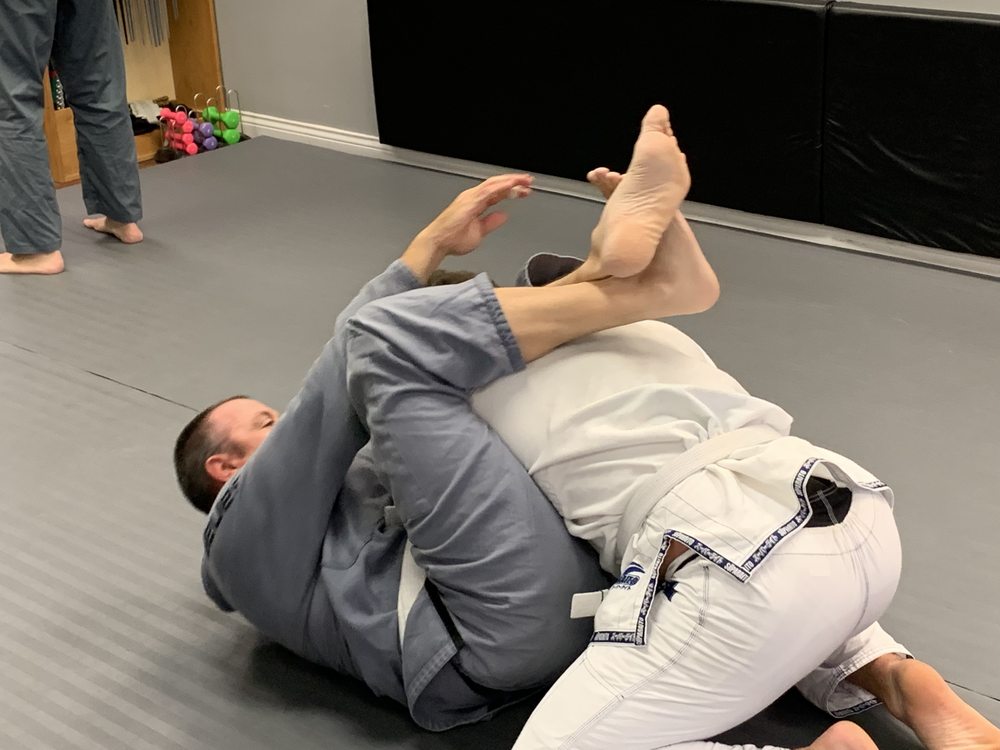 Altiora Bjj Logo