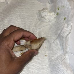 Look how how old this chicken is!!!!!