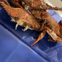 Mackey's Crab House