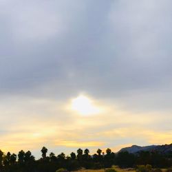 Enlightened Bodywork - Energy healing sessions help lead to enlightenment.
