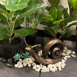 Insight Psychological - Greenery in the reception area.