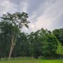 Photo of Galena Dog Park