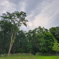 Galena Dog Park - Entrance to the wild "natural" area. Still completely fenced in. Wear good hiking shoes.