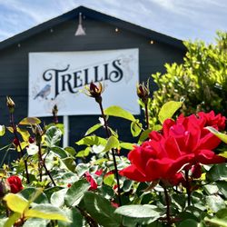 Trellis