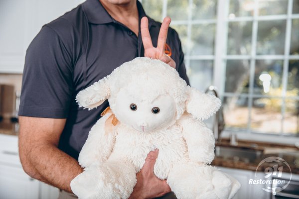 Slide of 911 Restoration of Minneapolis