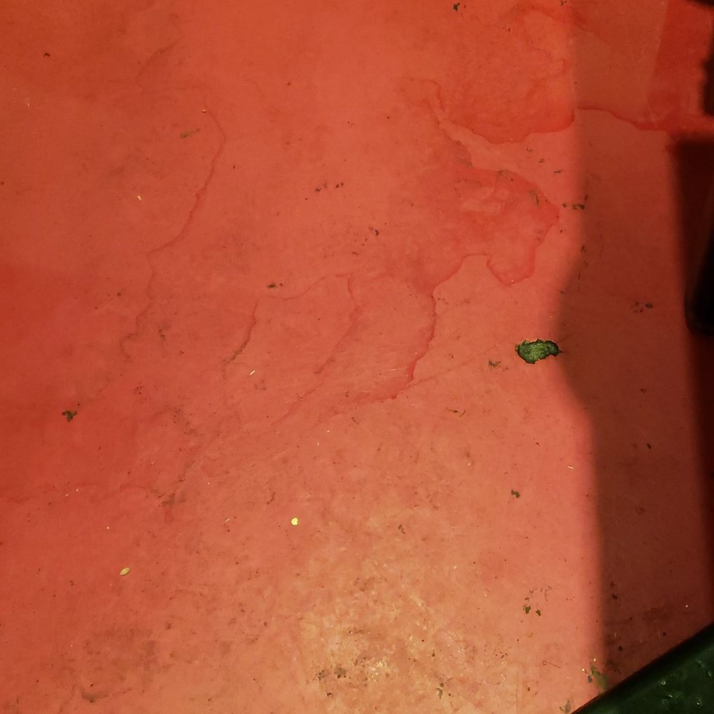 Pei Wei Asian Kitchen - Nasty, dirty, grimy floors - Asian Fusion Near Me - Kingwood, Texas Pei Wei Asian Kitchen - Nasty, dirty, grimy floors - Asian Fusion Near Me - Kingwood, Texas