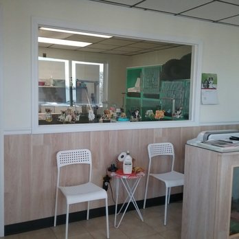 Claws & Paws - Pet Services Near Me - Bergenfield, New Jersey Claws & Paws - Pet Services Near Me - Bergenfield, New Jersey