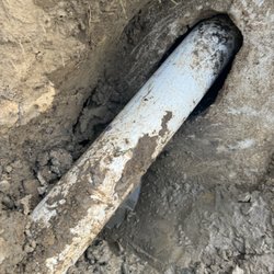 Birds and Worms Plumbing