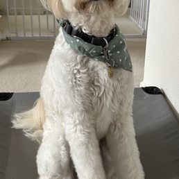 Handsome groom by Fernanda! Handsome groom by Fernanda!