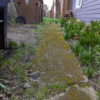 Best Pressure Wash - Pressure Washers Near Me Best Pressure Wash - Pressure Washers Near Me