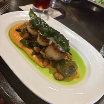 On Swann - Scallops - Bars Near Me - Tampa, Florida On Swann - Scallops - Bars Near Me - Tampa, Florida