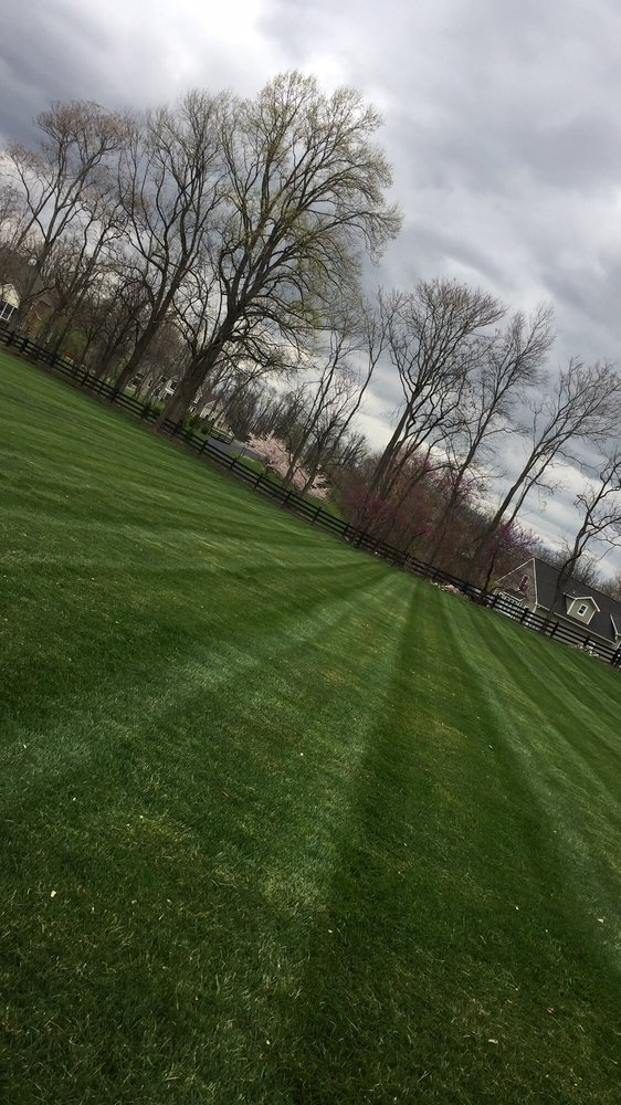 TOLENTINO’S LAWN CARE Winchester, Virginia Lawn Services Phone Number Yelp