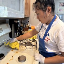 Spotless Clean Maid Service - Stove cleaning
