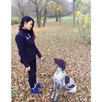 Back to Basics Dog Training - Training in the woods - Pet Training Near Me Back to Basics Dog Training - Training in the woods - Pet Training Near Me