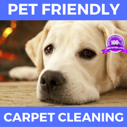 Drycon Knoxville Carpet Cleaning - .