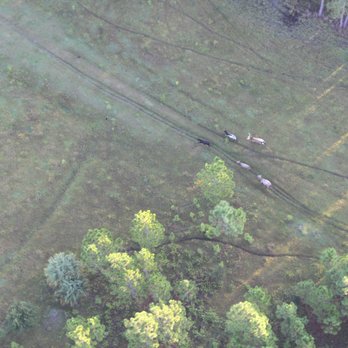 Aerostat Adventures, LLC - Hot Air Balloons Near Me - Orlando, Florida Aerostat Adventures, LLC - Hot Air Balloons Near Me - Orlando, Florida