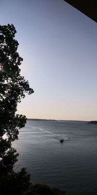 Dead Fish Grill by null