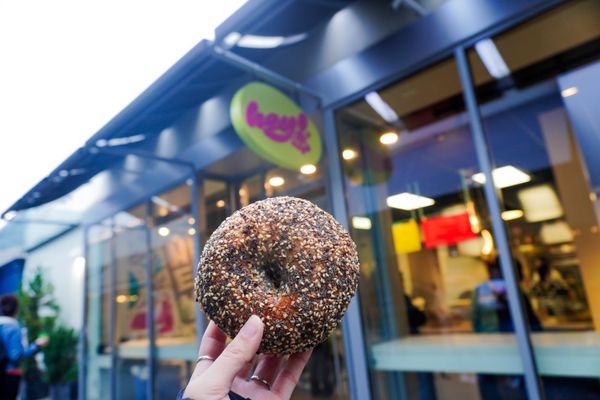 Hey Bagel by null