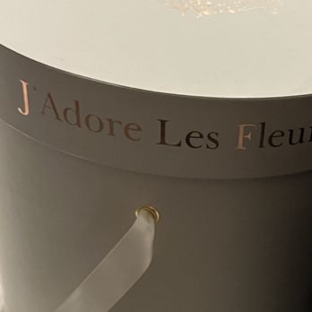 J'Adore Les Fleurs - My cats kissing the container - Florists Near Me - Hollywood, Florida J'Adore Les Fleurs - My cats kissing the container - Florists Near Me - Hollywood, Florida