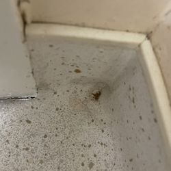 CareOne at Lexington - The filth in the bathroom has been caked on for years.