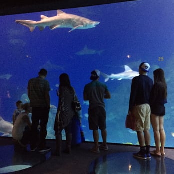Downtown Aquarium - Museums Near Me - Denver, Colorado Downtown Aquarium - Museums Near Me - Denver, Colorado